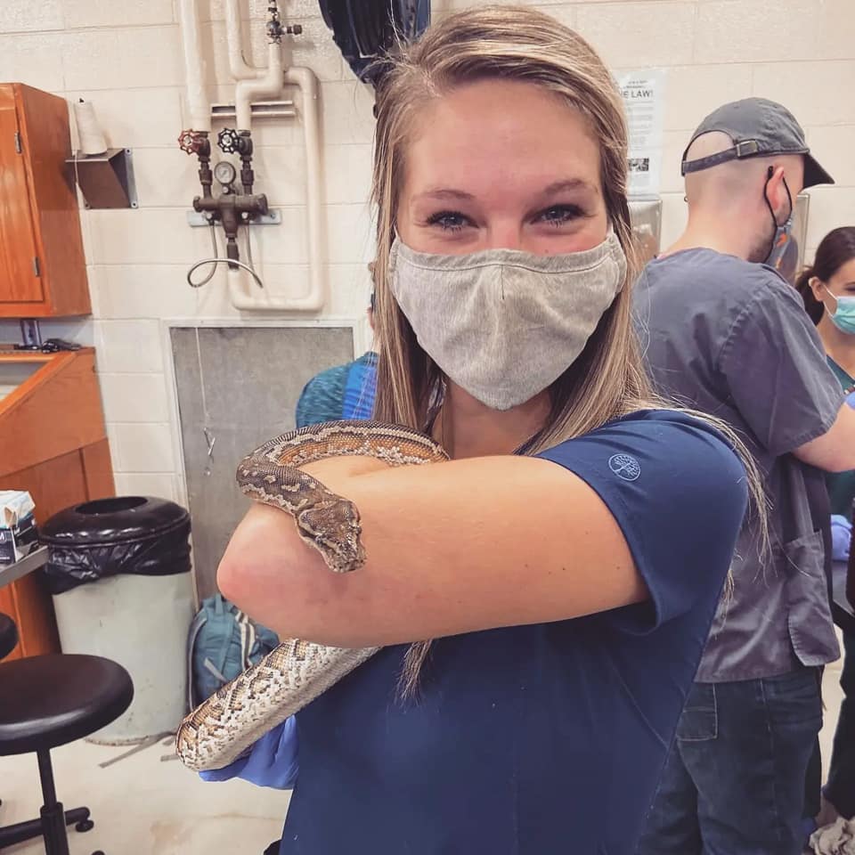Veterinary student with a blue scrub top on holding a snake