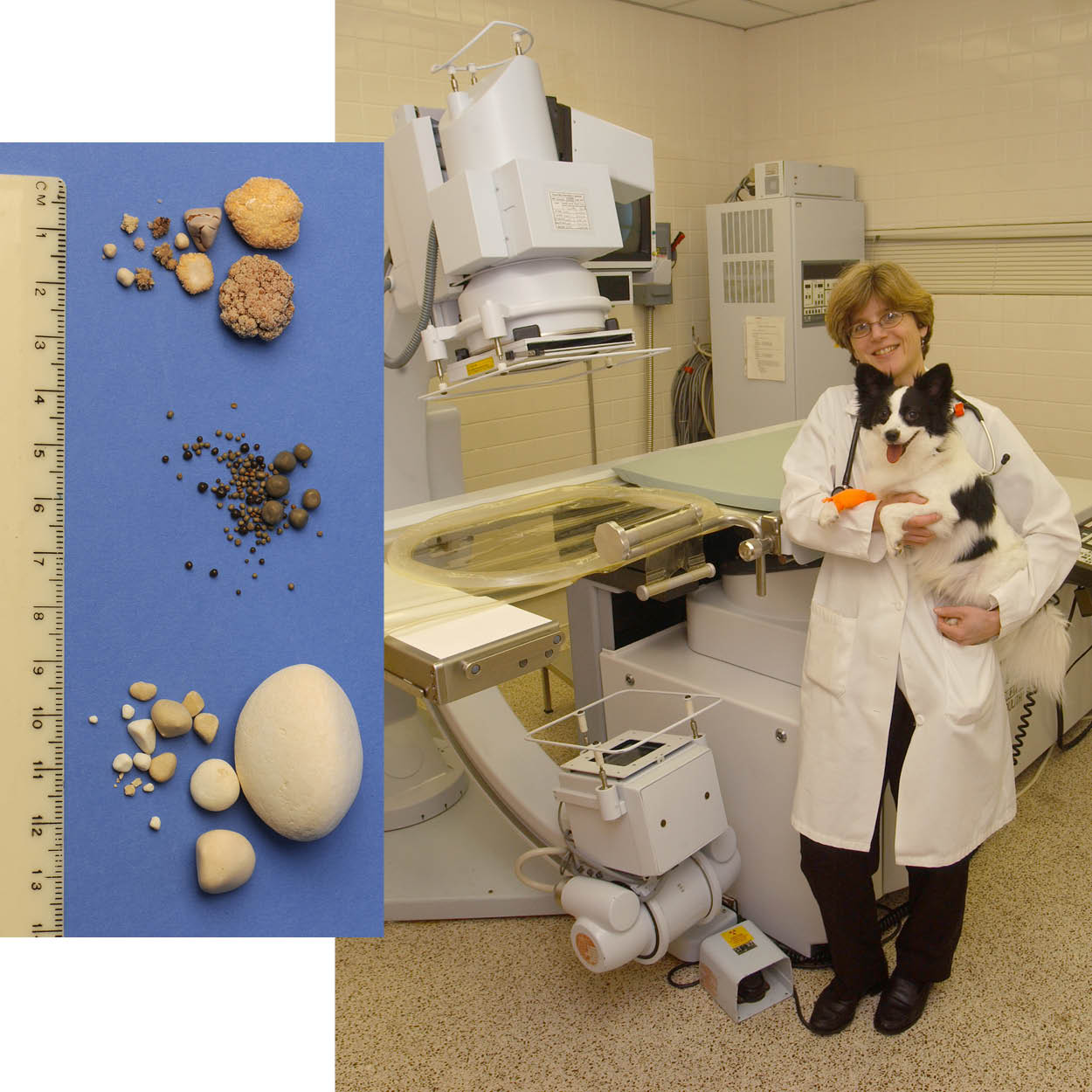 Dr. India Lane poses in a white coat with a black and white dog in front of the lithotripsy machine, with an inset image showing examples of different kidney stones. 