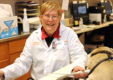 Dr. Becky Gompf, veterinary cardiologist, exams a dog