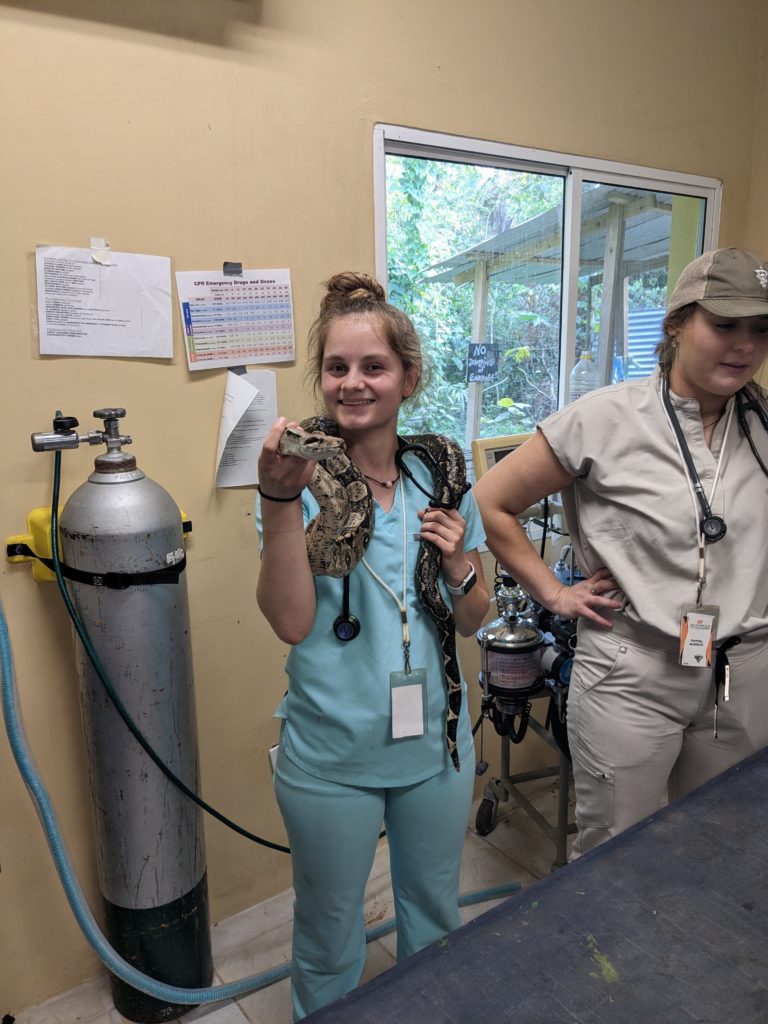 Vet students and a snake in Belize.