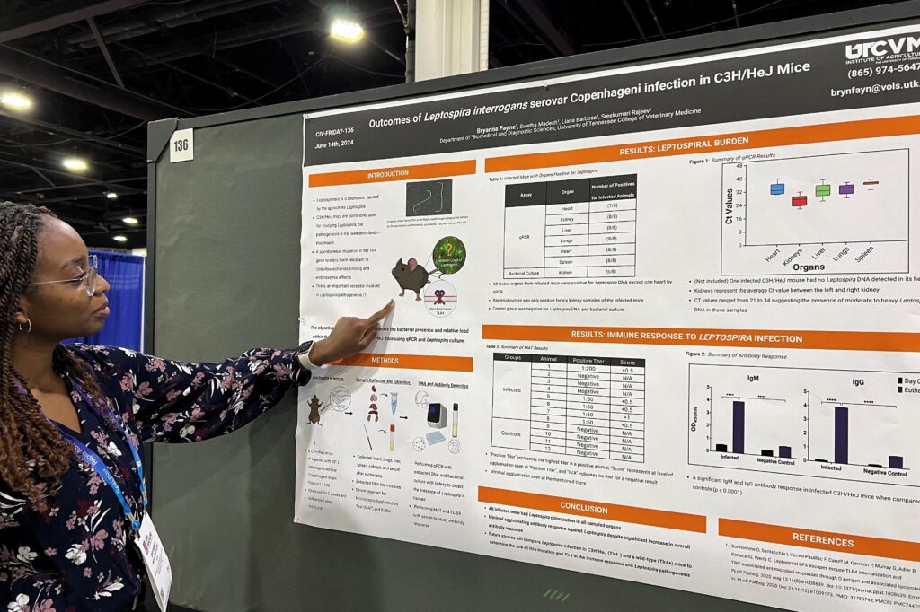 Bryanna Fayne, a comparative and experimental medicine graduate student, stands beside her research poster, “Outcomes of Leptospira interrogans serovar Copenhageni infection in C3H/HeJ Mice.”
