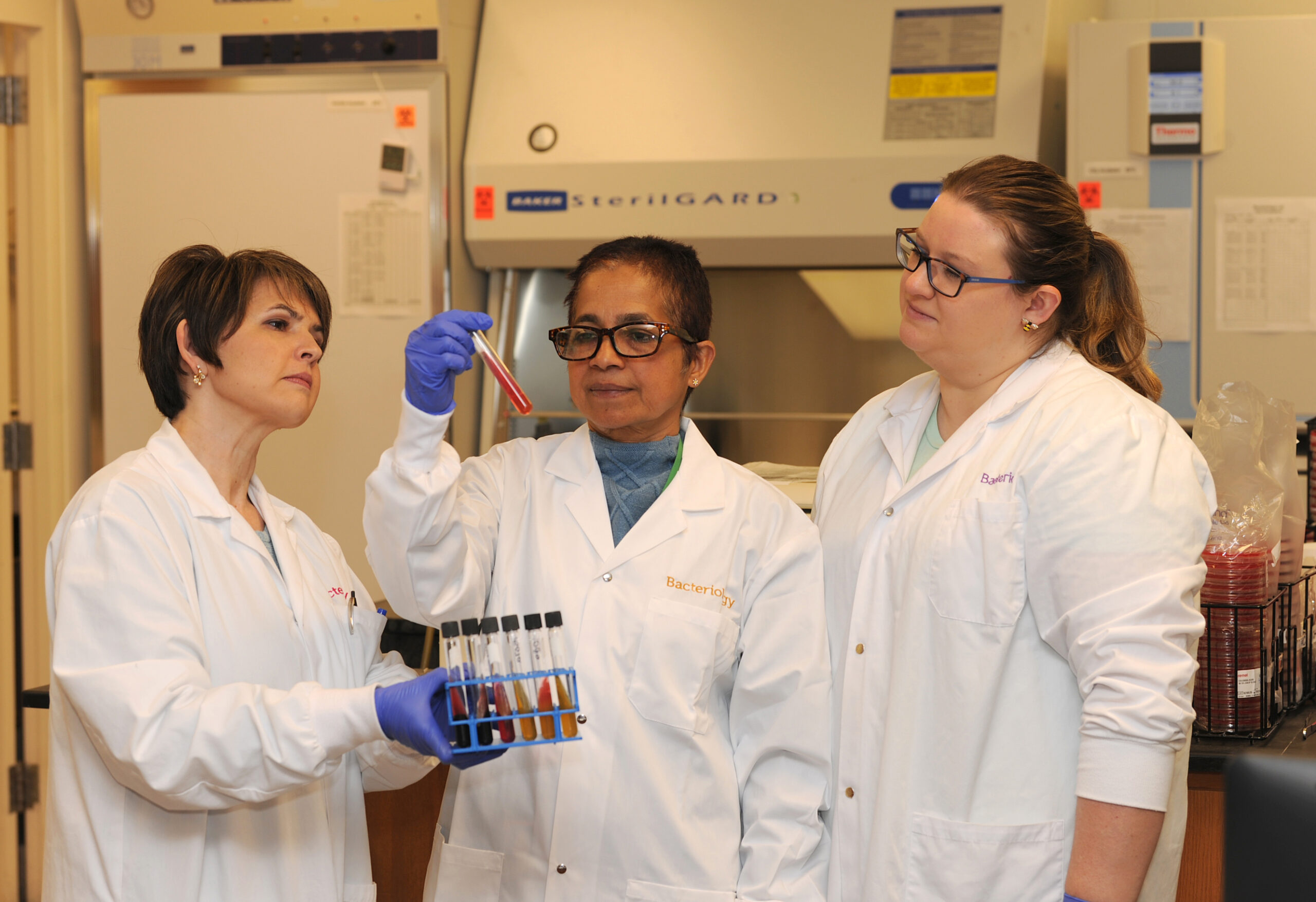 Bacteriology & Mycology | College of Veterinary Medicine