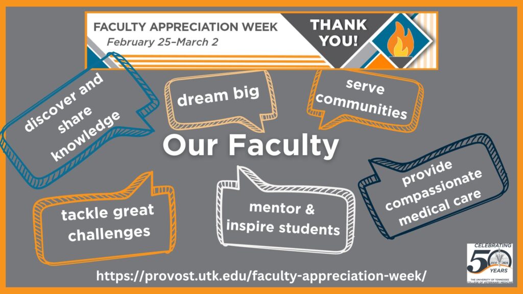 A graphic showing appreciation for our faculty who dream big, discover and share knowledge, serve communities, mentor students, tackle great challenges, and provide compassionate medical care. 