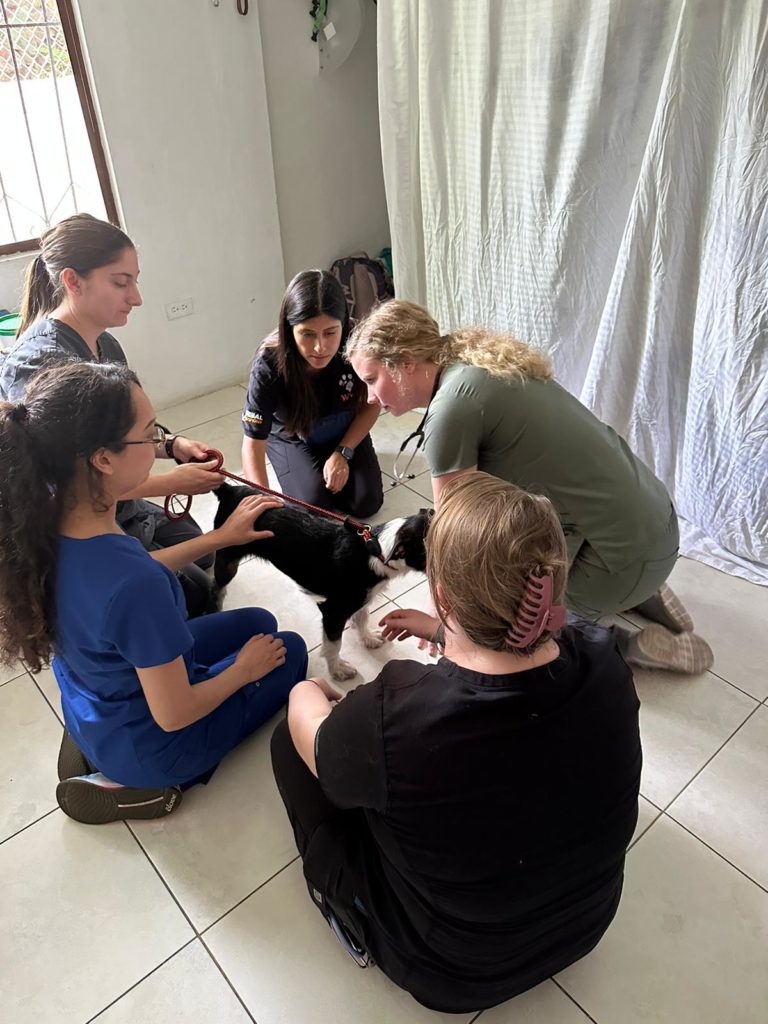 Vet Students and dog in Galapagos