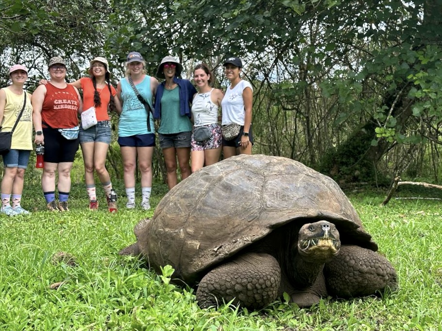 Turtle and vet students in Galapagos