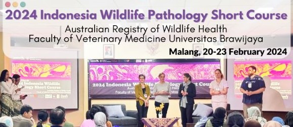 A group of pathologists stand on stage at the 2024 Indonesia Wildlife Pathology Short Course