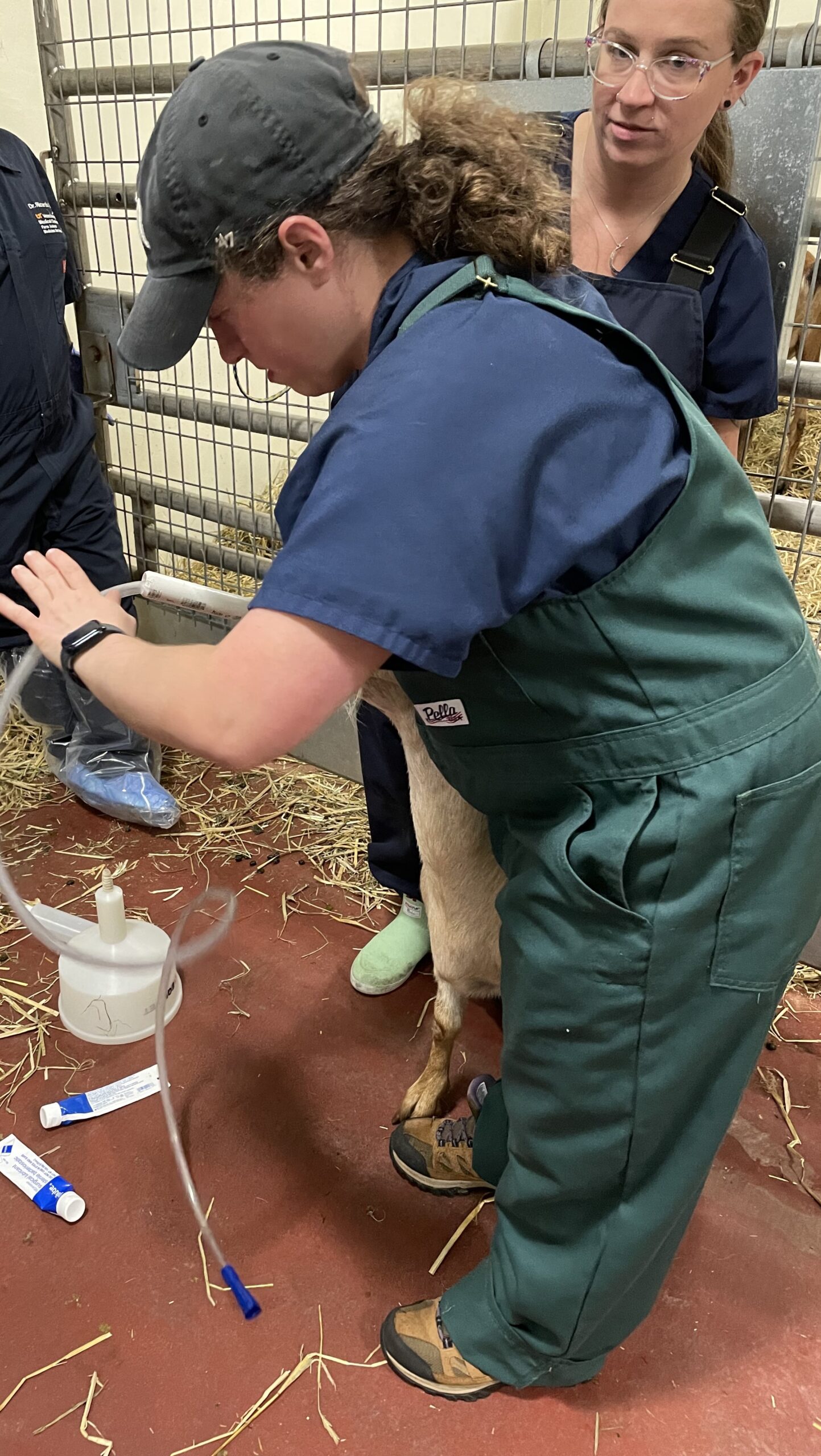 LACS Veterinary Technician Internship College of Veterinary Medicine