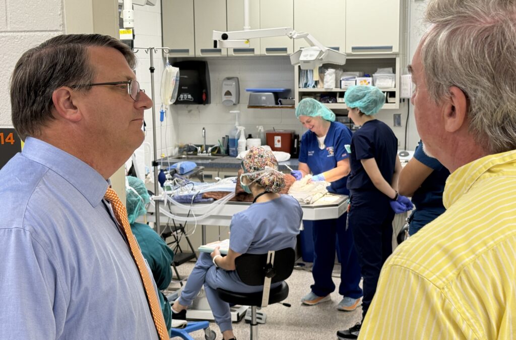 Dr. Plummer talks to Dr. Thomas outside the small animal dentistry door where students are in scrubs