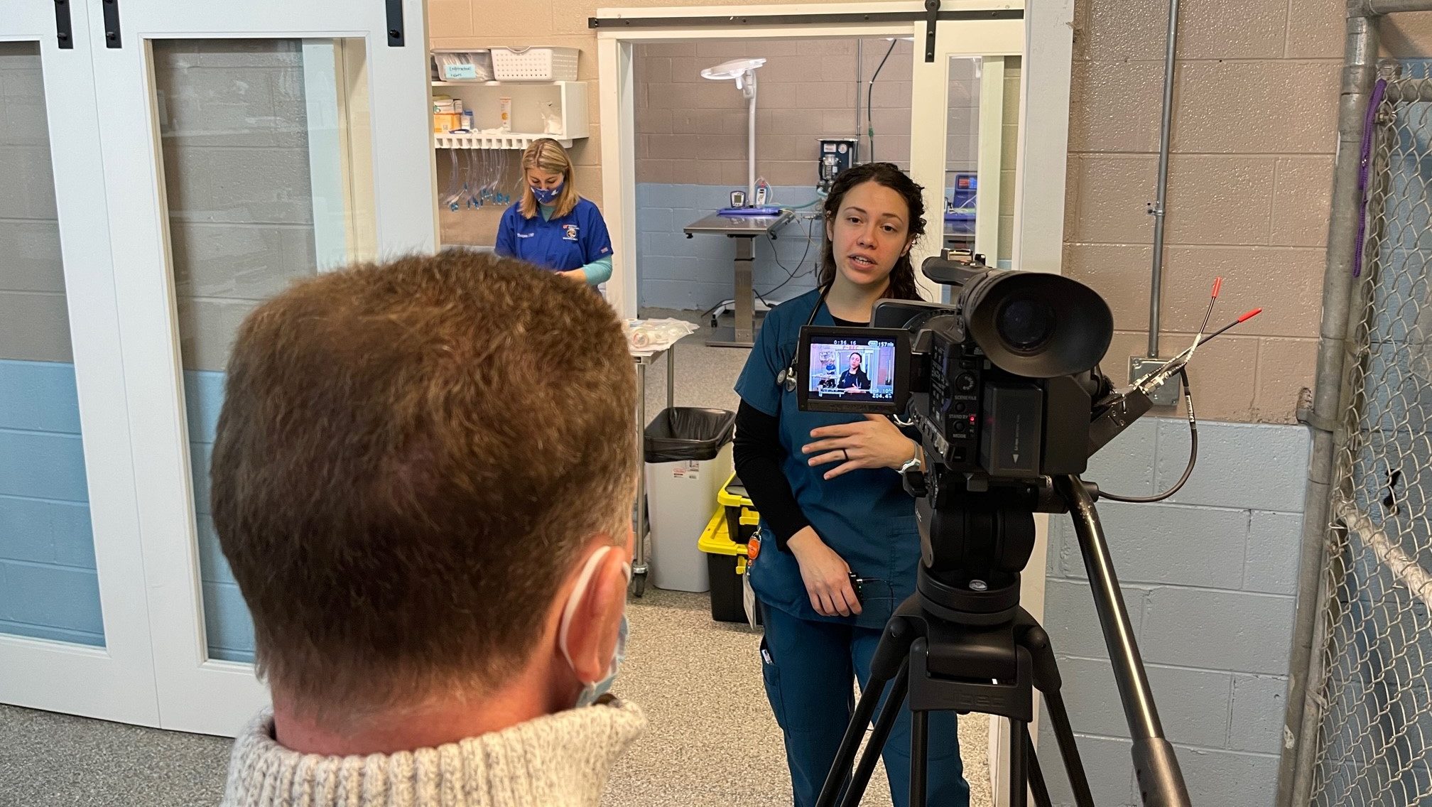 Veterinary student being interviewed on camera at an animal shelter