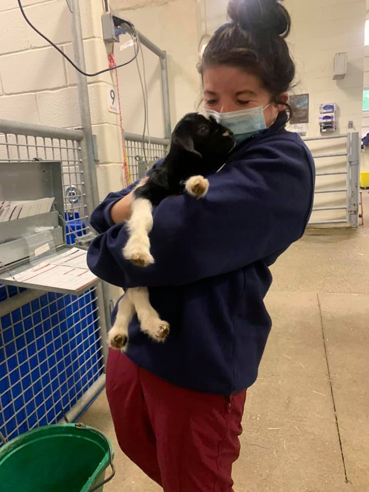 Veterinary student holding a black and white puppy