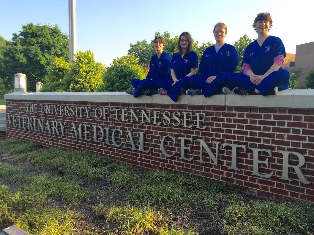 SACS Veterinary Technician Internship College of Veterinary Medicine