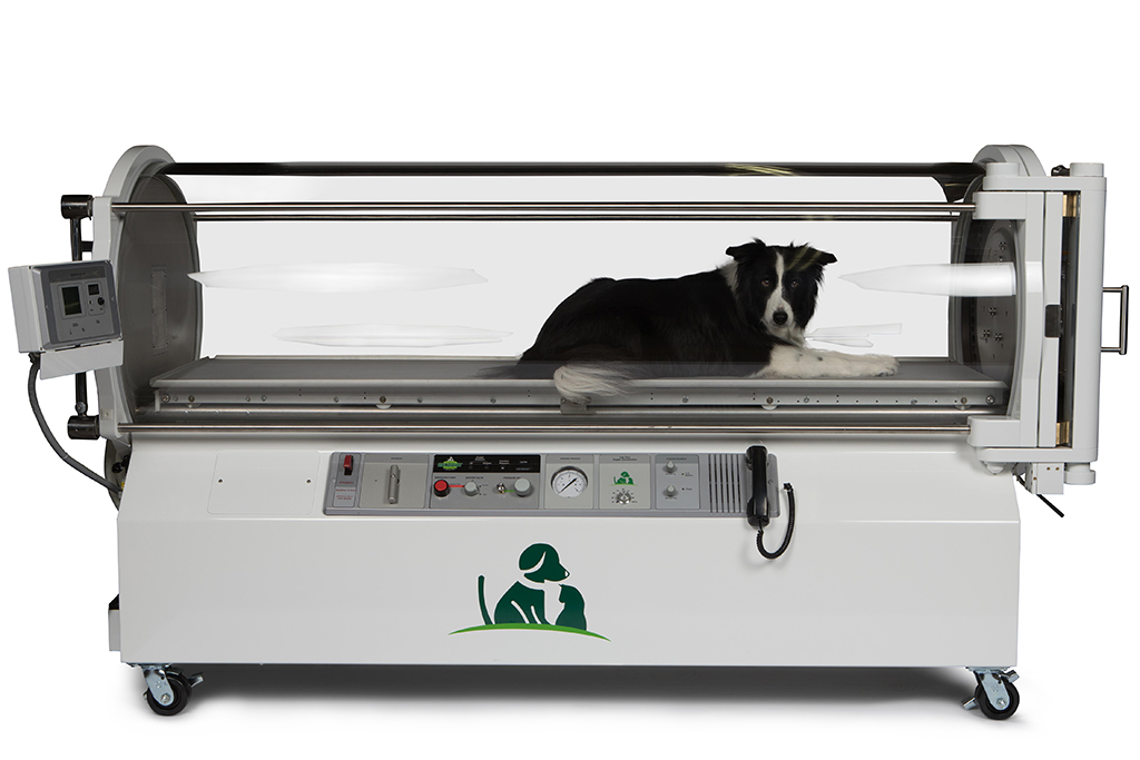 Hyperbaric oxygen therapy unit from Sechrist Veterinary Health.