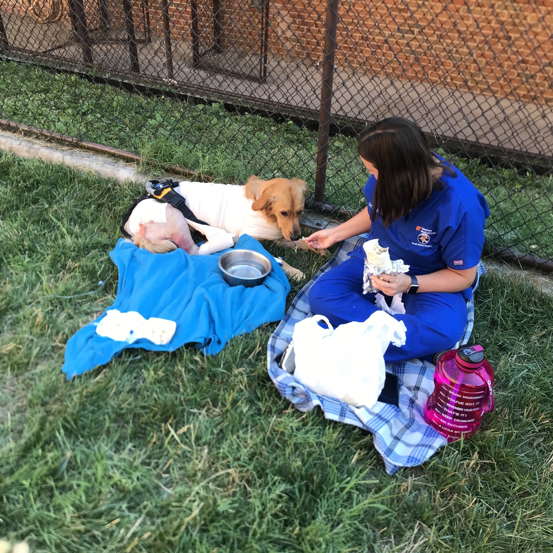 SACS Veterinary Technician Internship College of Veterinary Medicine