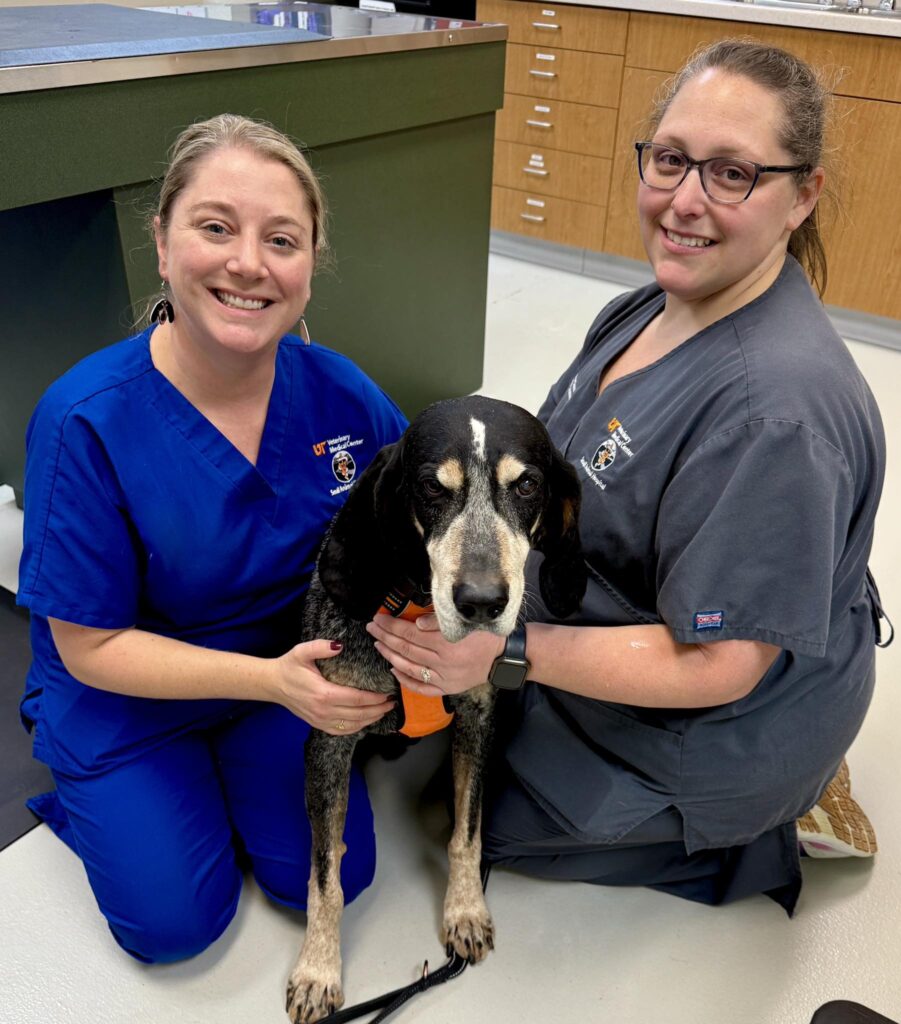 Smokey X, a Bluetick Coonhound, looks at the camera during an oncology recheck. Two veterinary staff, one in blue and one in gray, kneel on the floor beside him.