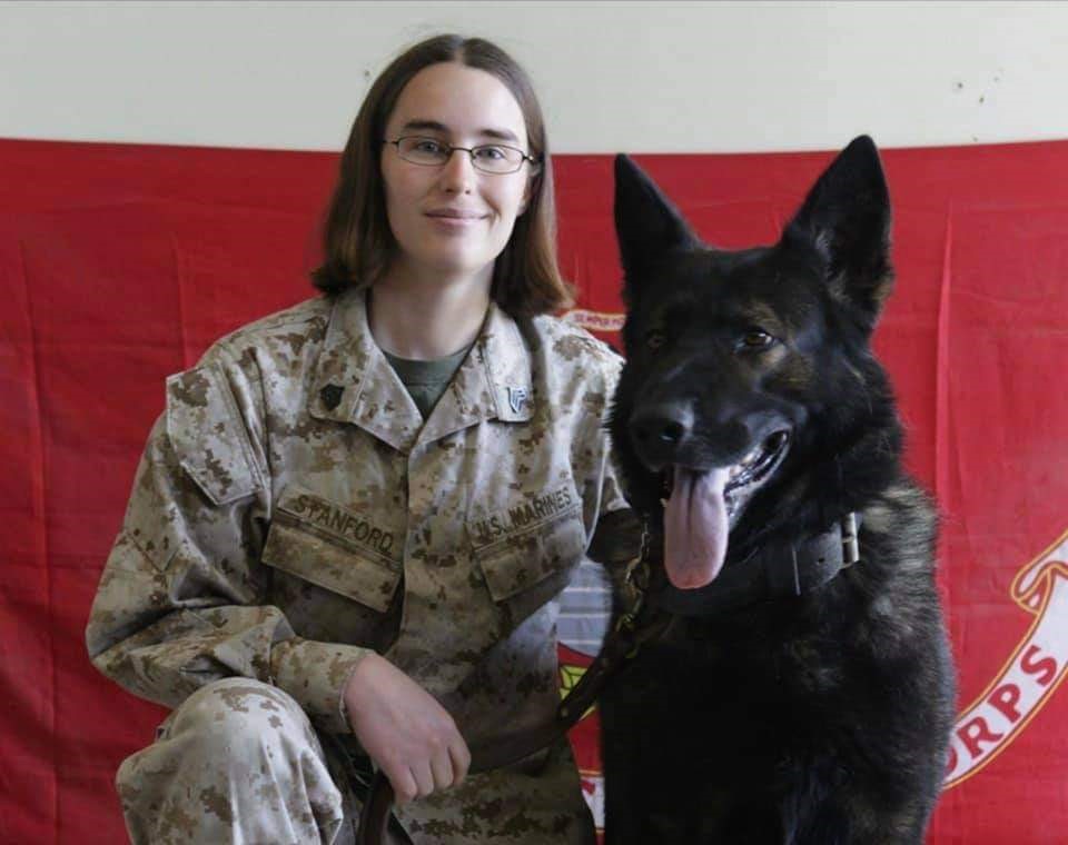 A female with dark hair and glasses wearing fatigues smiles at the camera while kneeling next to a black military working dog.