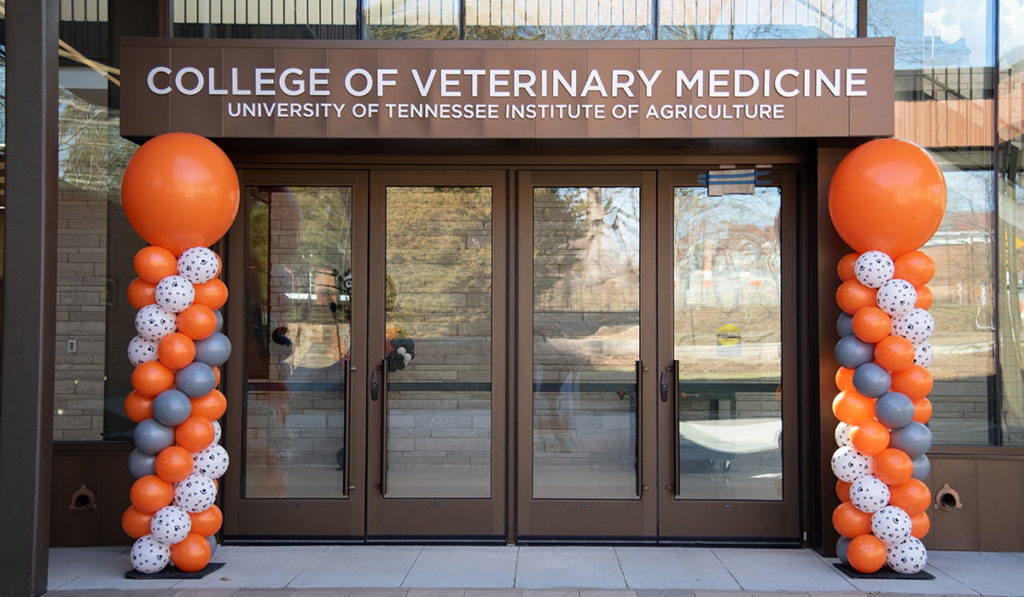 Brown exterior of entrance to veterinary Teaching and Leraning Center with glass doors