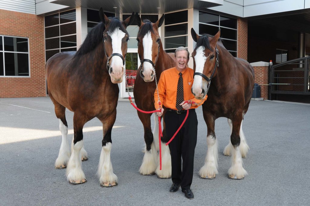 Dean Jim Thompson stands with three Clydesdales in front of the Charles and Julie Wharton Large Animal Hospital
