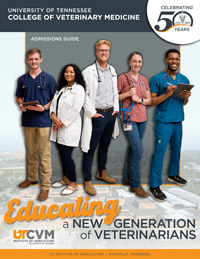 UT College of Veterinary admissions guide pdf