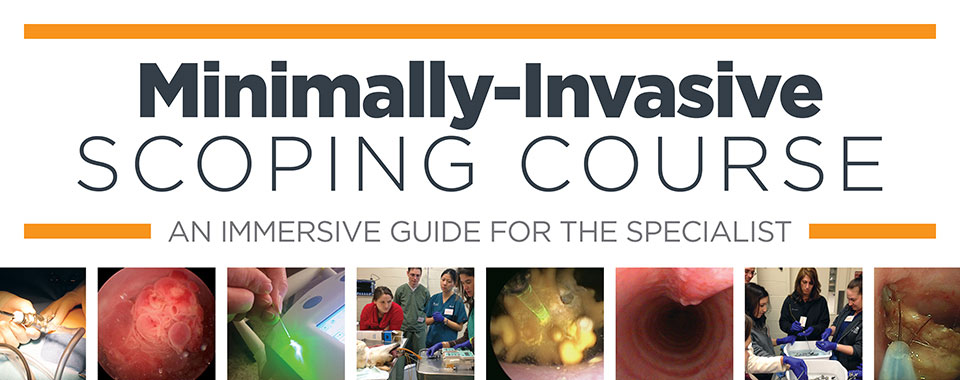 Minimally Invasive Scoping Course logo