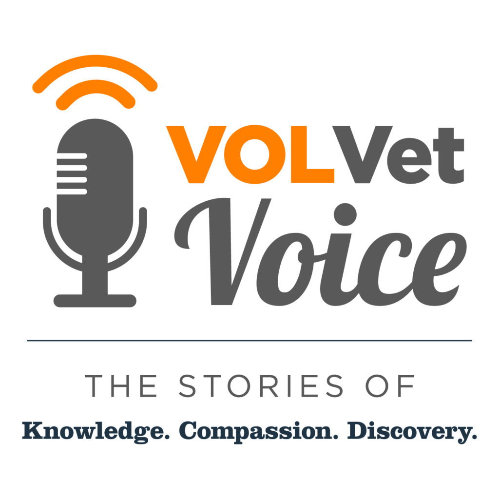 Graphic of microphone and VOLVet Voice