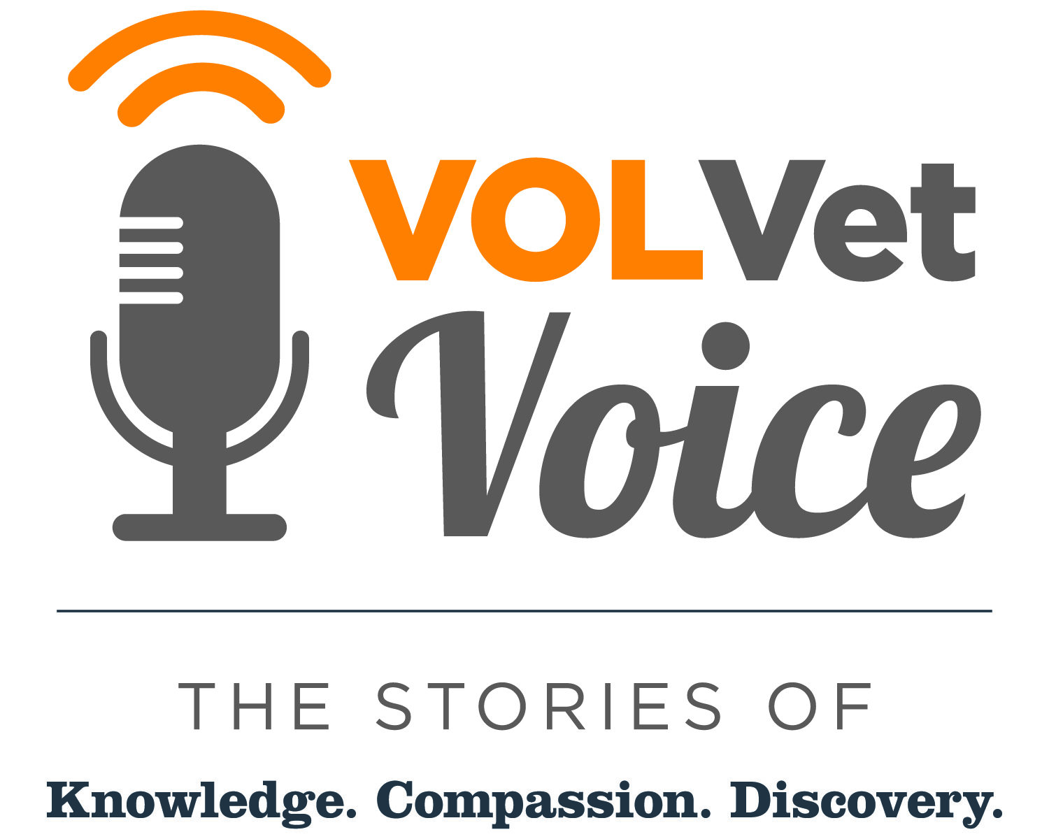 Graphic of microphone and VOLVet Voice