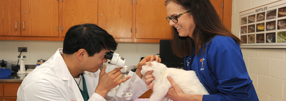 A veterinary examination room with wood cabinets in the background. One person in a white lab coat looks through a handheld examination device at the eye of a white cat, while another person in a blue jacket gently holds the cat on a countertop. A reptile identification poster is visible on the wall behind them.