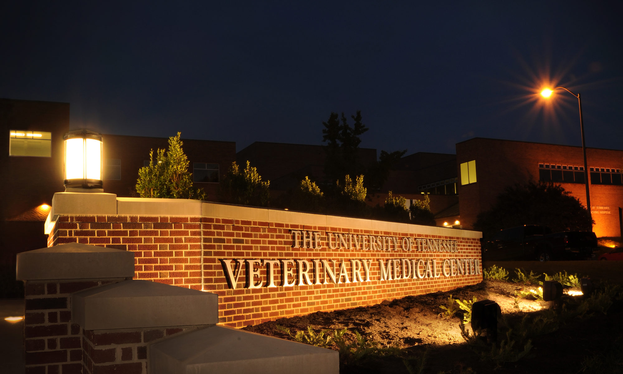 UT Veterinary Medical Center sign lit up at night