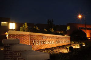 Home | College of Veterinary Medicine