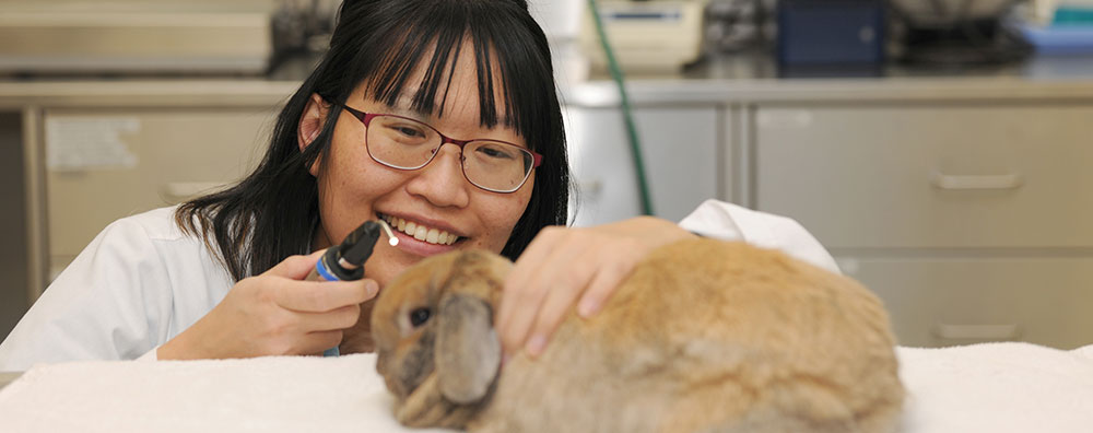 Resident with Bunny